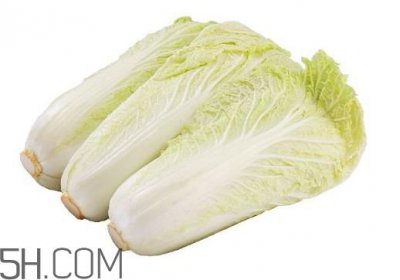 ​娃娃菜热量是多少？娃娃菜为什么叫娃娃菜