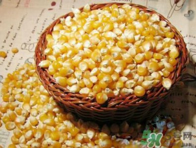 ​冰糖玉米种子哪里有卖？冰糖玉米种子的销售地