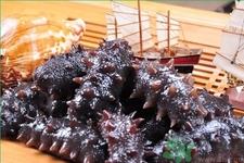 海参每天吃多少合适？海参一天吃多少比较好？