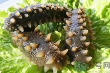 海参每天吃多少合适？海参一天吃多少比较好？