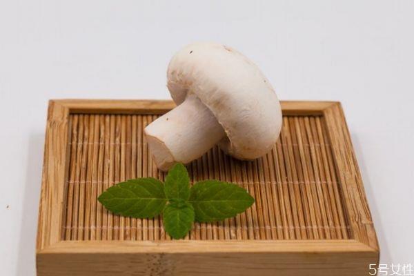 吃口蘑有什么好处呢 口蘑怎么做好吃呢