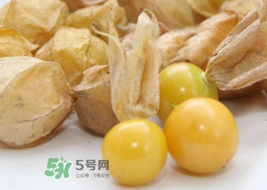黄菇娘几月种植？黄菇娘的种植注意事项