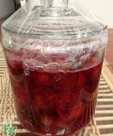 三华李能泡酒吗？三华李怎么泡