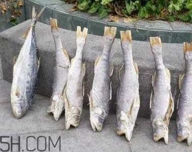 ​咸鱼不能和什么一起吃？咸鱼是什么意思