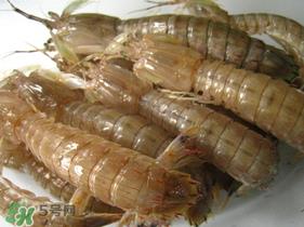 濑尿虾是皮皮虾吗？濑尿虾和皮皮虾的区别