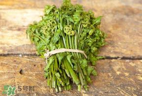 糖尿病能吃蕨菜吗？糖尿病可以吃蕨菜吗？