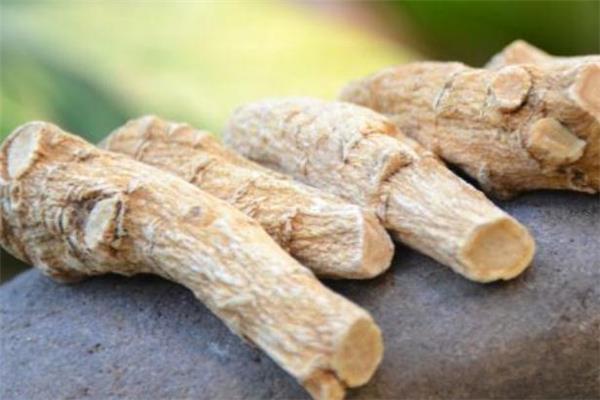 西洋参可以改善记忆力吗 西洋参泡水喝能增强记忆力吗