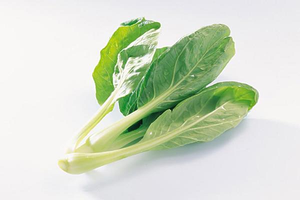 小白菜能否生吃 吃小白菜对身体有什么好处