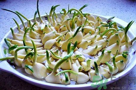 吃大蒜能降血压吗？大蒜发芽了还能吃吗？