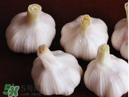 新蒜头怎么弄成老蒜头？新蒜头和老蒜头的区别