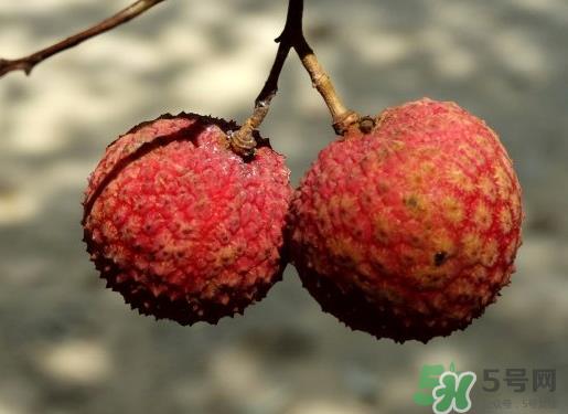 七月份还有荔枝吗？7月份还有荔枝吗？月份还有荔枝吗？
