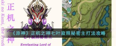 ​原神正机之神七叶寂照秘密主怎么打