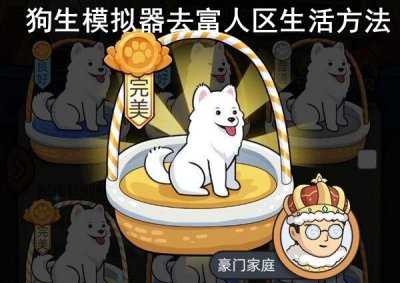 ​狗生模拟器怎么去富人区