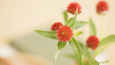 ​女人分手后又复合，背后的三种可能性