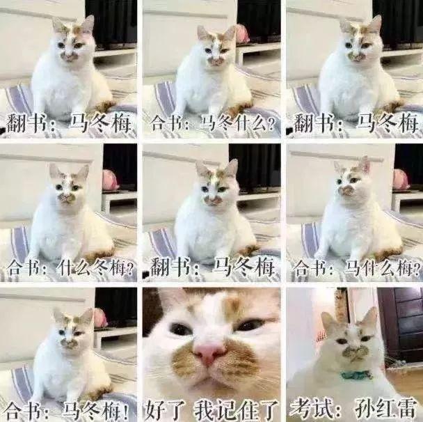 “make love everyday but no baby”什么意思？？？