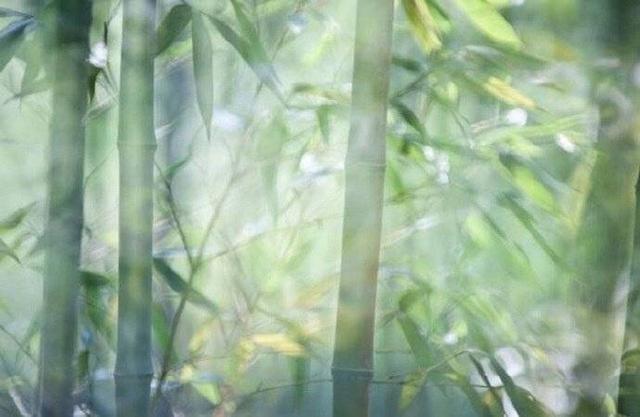 《浮生六记》：无人与我立黄昏，无人问我粥可温