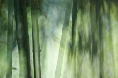 ​《浮生六记》：无人与我立黄昏，无人问我粥可温