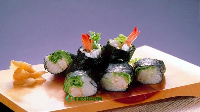 健康养生菜——圆生菜的营养价值及食用方法