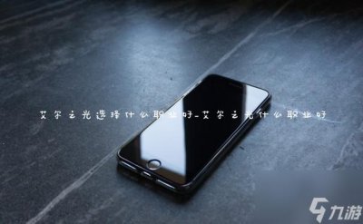 ​艾尔之光选择什么职业好_艾尔之光什么职业好