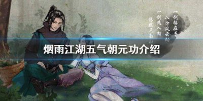 ​烟雨江湖五气朝元功怎么样