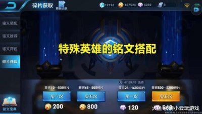 ​王者荣耀: 特殊英雄铭文搭配, 没有正确的铭文, 根本玩不出效果