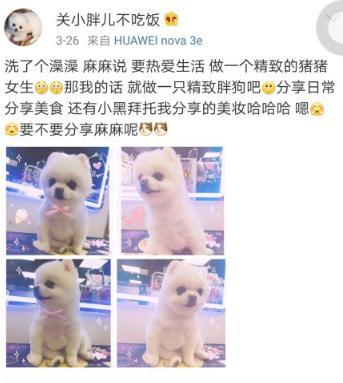 关晓彤小号曝光，没想到私下的她竟然是这样的
