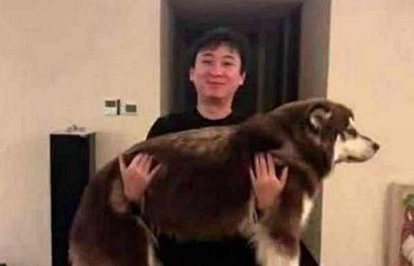 王思聪的狗生活不一般，它每天都在做什么，你想都想不到……