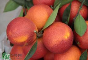 血橙多少钱一斤？四川血橙多少钱一斤？