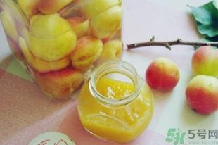 杏子可以泡酒吗?杏子泡酒有什么功效
