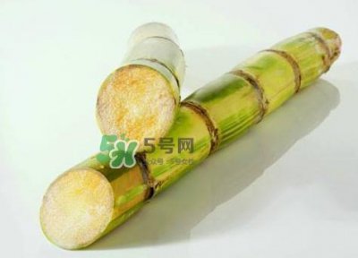 ​甘蔗是哪里的特产？甘蔗是什么地方的特产