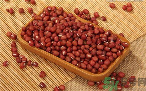红豆可以发豆芽吗？红豆芽可以吃吗？