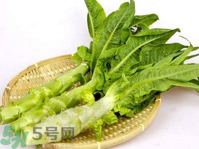 油麦菜和莴笋叶的区别?