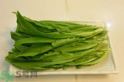 ​油麦菜和莴笋叶的区别?