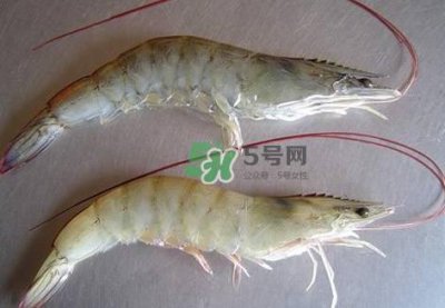​白虾有寄生虫吗？如何选购新鲜的虾