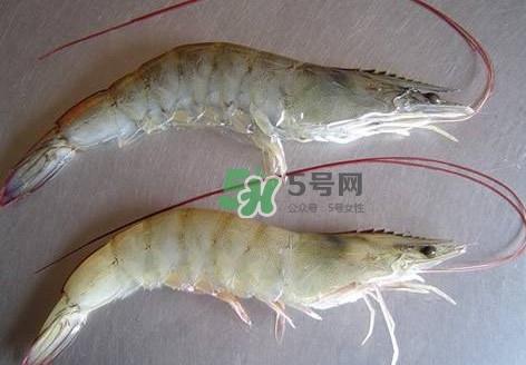 白虾有寄生虫吗？如何选购新鲜的虾