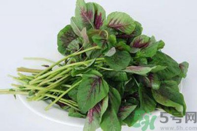 ​汉菜是热性还是凉性？汉菜是凉性的吗？
