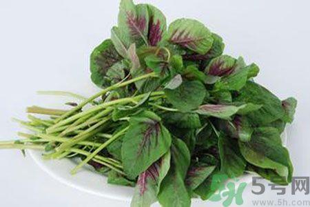 汉菜是热性还是凉性？汉菜是凉性的吗？