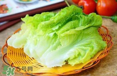 ​生菜可以放冰箱吗？生菜可以放冰箱多久？