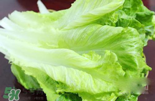 生菜可以放冰箱吗？生菜可以放冰箱多久？