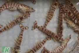 虾爬子能放多久？虾爬子怎么保存时间长？