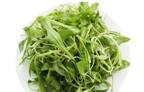马兰头是马齿苋吗？马兰头和马齿苋的区别