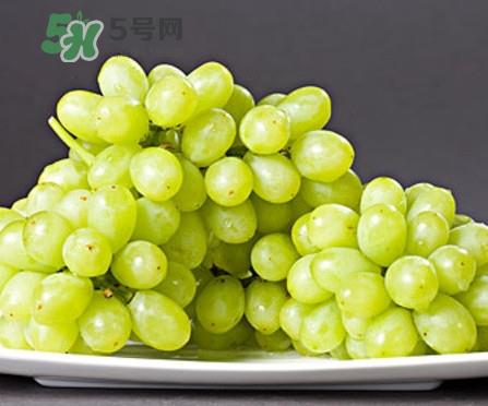 马奶葡萄是只有新疆有吗？绿马奶葡萄为什么发涩