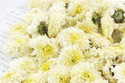 ​贡菊花怎么选购 贡菊花怎么泡