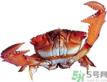 螃蟹里面黑色的是什么?螃蟹里面黑色的能吃吗?