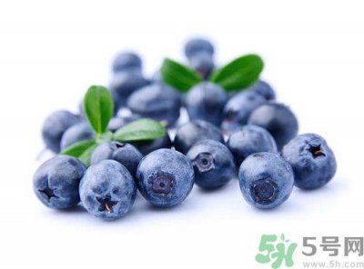 ​蓝莓什么季节成熟?蓝莓成熟是什么颜色