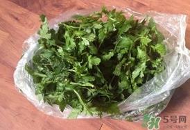 菊花脑怎么做好吃？菊花脑怎么做有营养