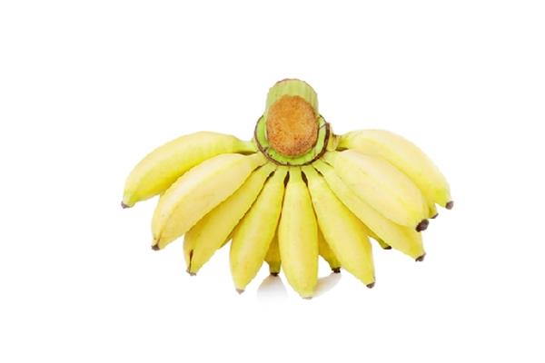 芭蕉的热量高吗 芭蕉会胖吗