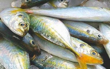 鲅鱼的种类繁多 应有尽有