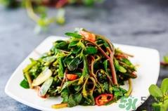 马齿苋开花后还能吃吗?马齿苋开花后可以吃吗?
