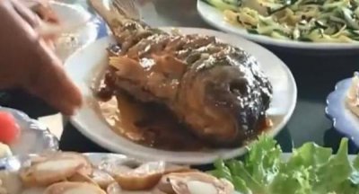 ​北方人口中的“硬菜”到底指的是什么？看完就知道了，涨知识